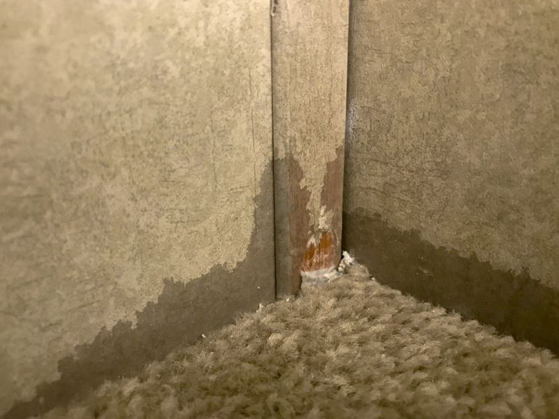 Carpet Burn Repair