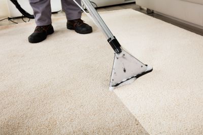 Professional Carpet Maintenance