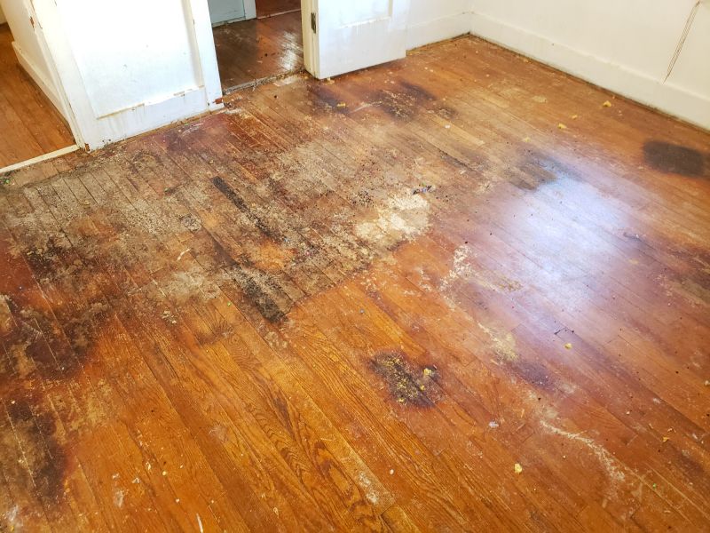Stain and Damage Repair